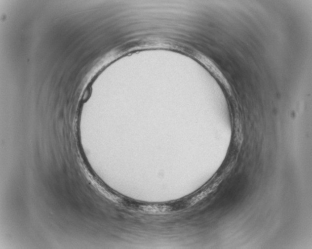 X0000085290805200704092230