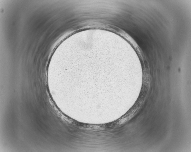 X0000085290807200704092230
