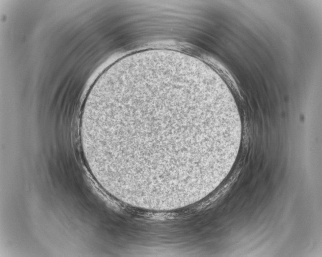 X0000085290808200704092230