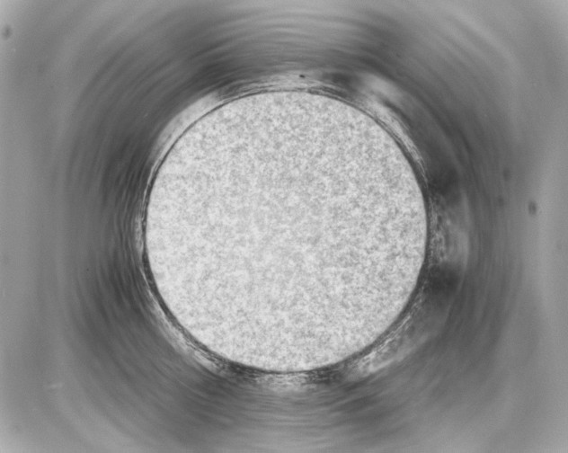 X0000085290810200704092230