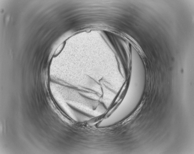 X0000085290812200704092230