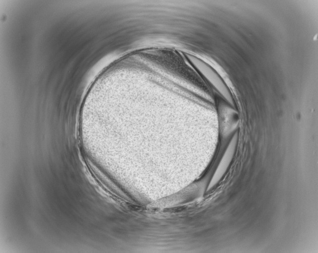 X0000085290815200704092230