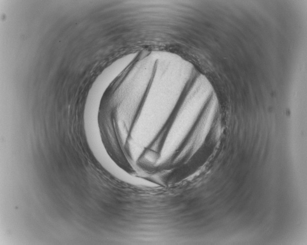 X0000085290818200704092230