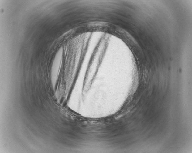 X0000085290821200704092230