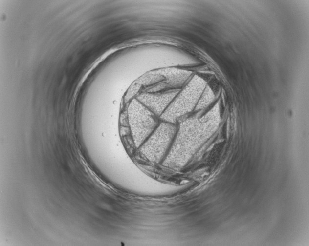 X0000085290828200704092230