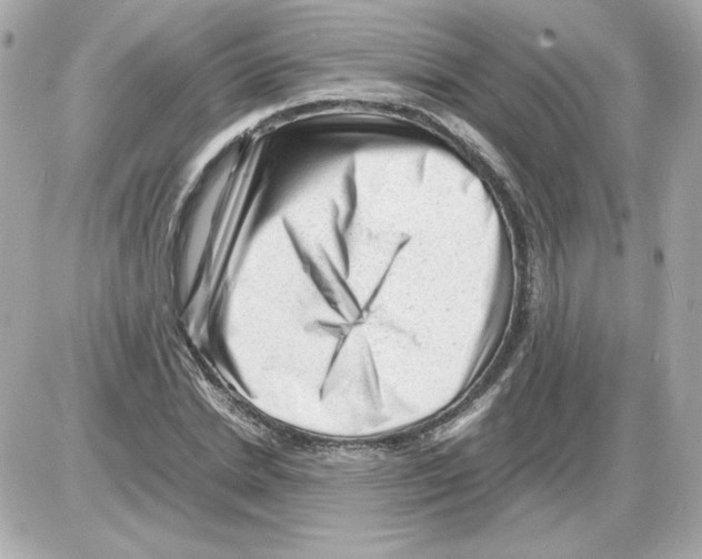X0000085290830200704092230