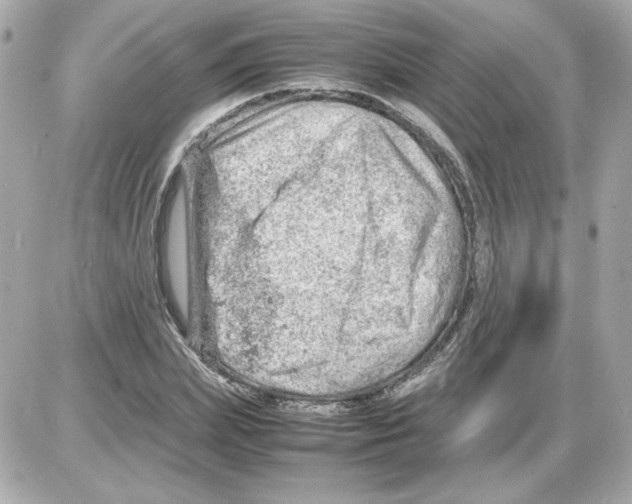 X0000085290831200704092230