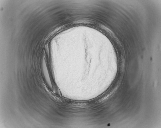 X0000085290833200704092230