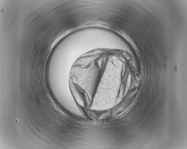X0000085290834200704092230