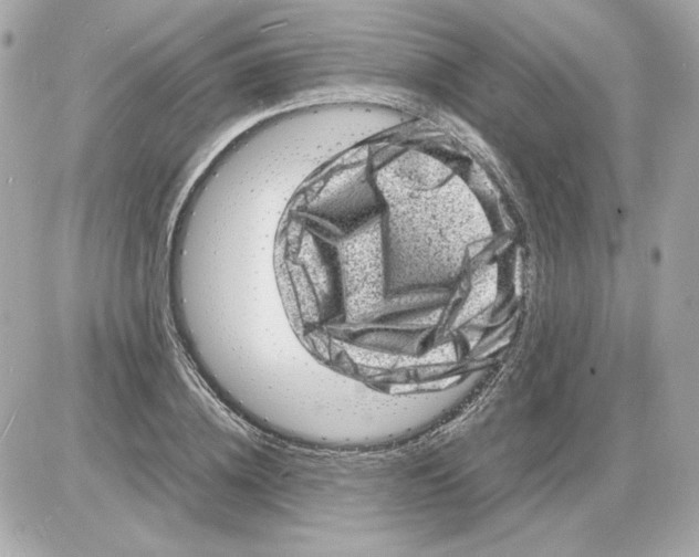 X0000085290836200704092230
