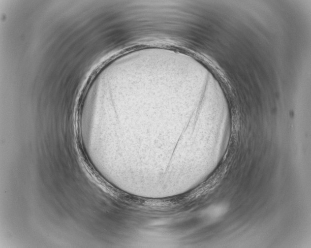 X0000085290840200704092230