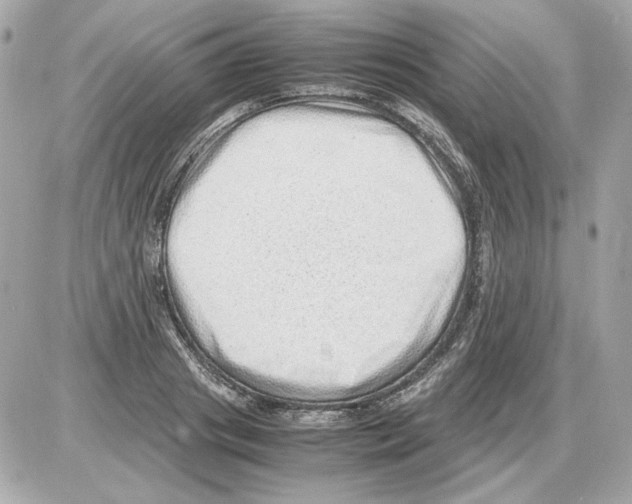 X0000085290841200704092230