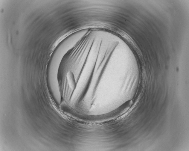 X0000085290842200704092230