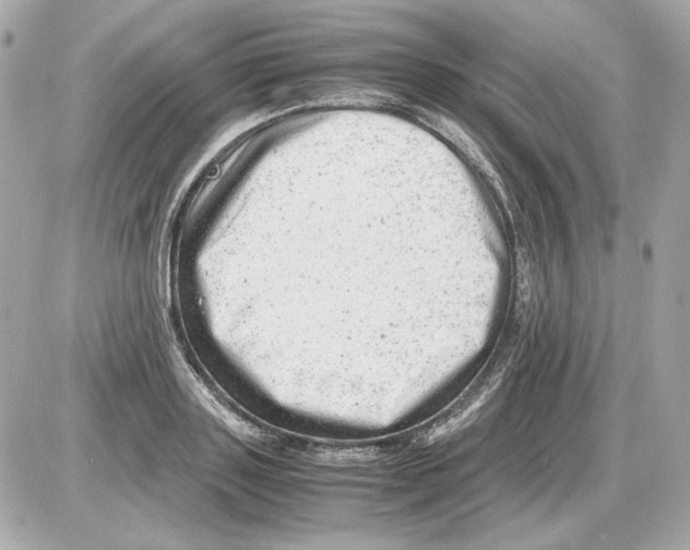 X0000085290843200704092230