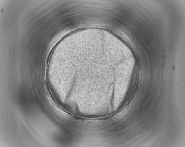 X0000085290844200704092230