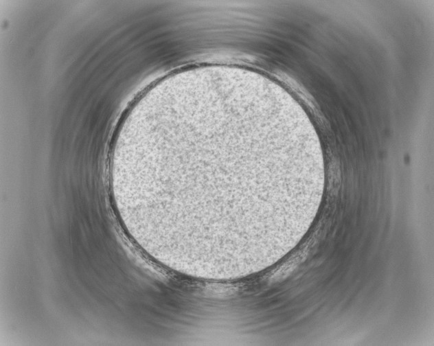 X0000085290848200704092230