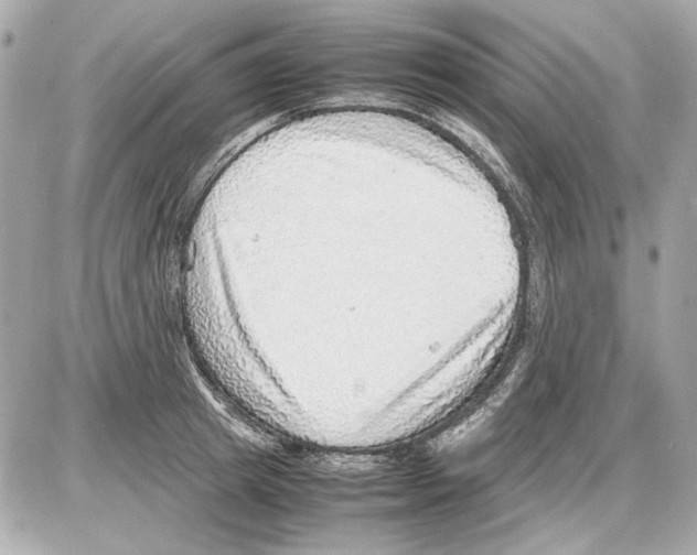 X0000085290849200704092230