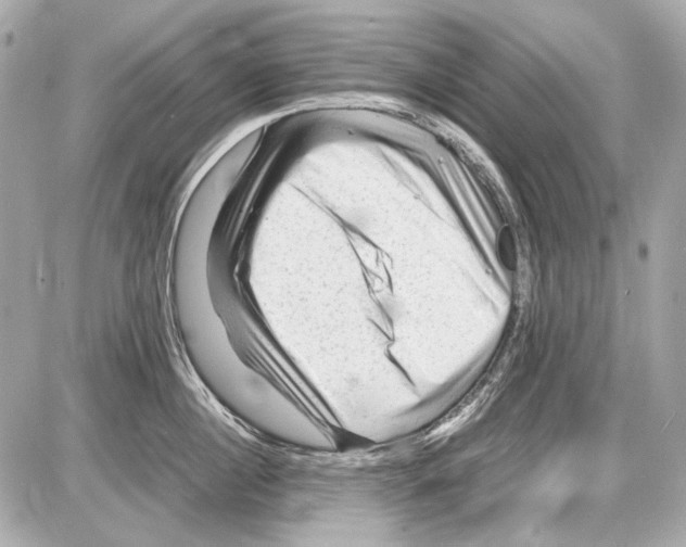 X0000085290860200704092230