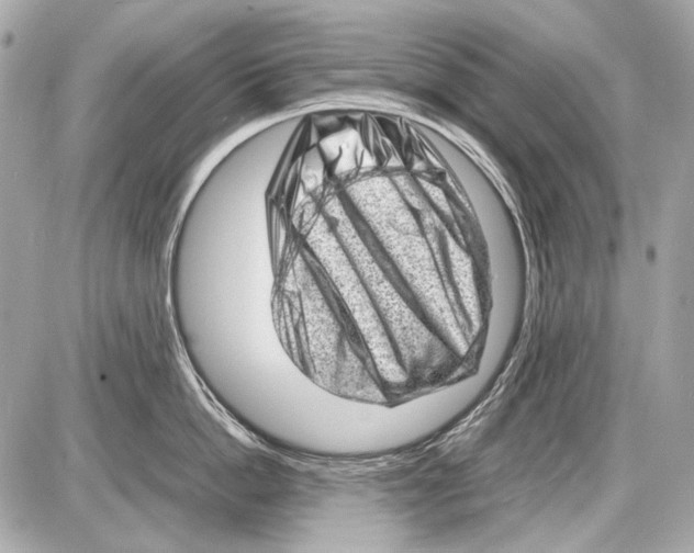 X0000085290862200704092230
