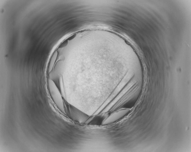X0000085290864200704092230