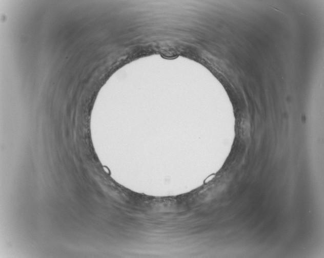 X0000085290865200704092229