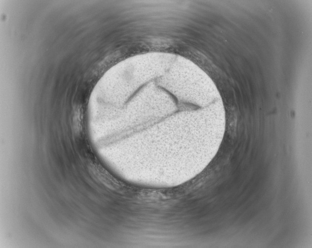 X0000085290866200704092229