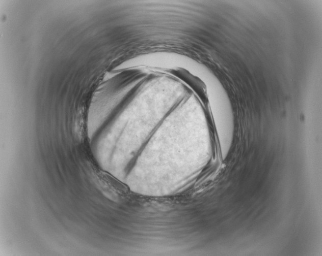 X0000085290868200704092229