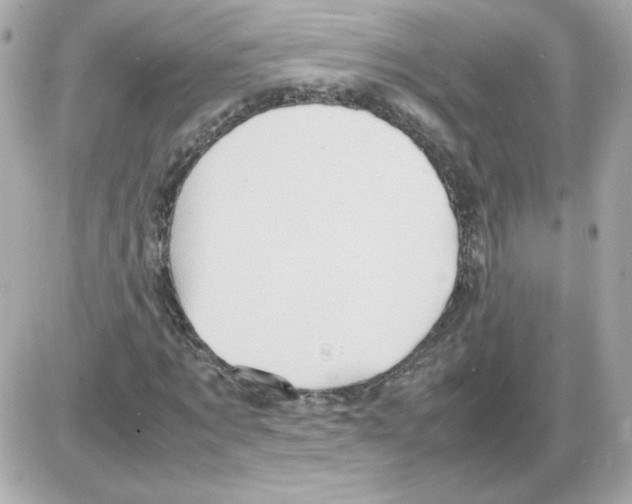X0000085290869200704092229