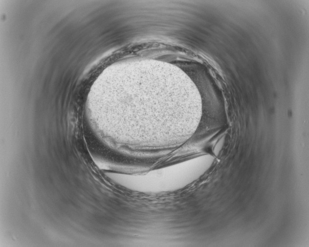 X0000085290872200704092229