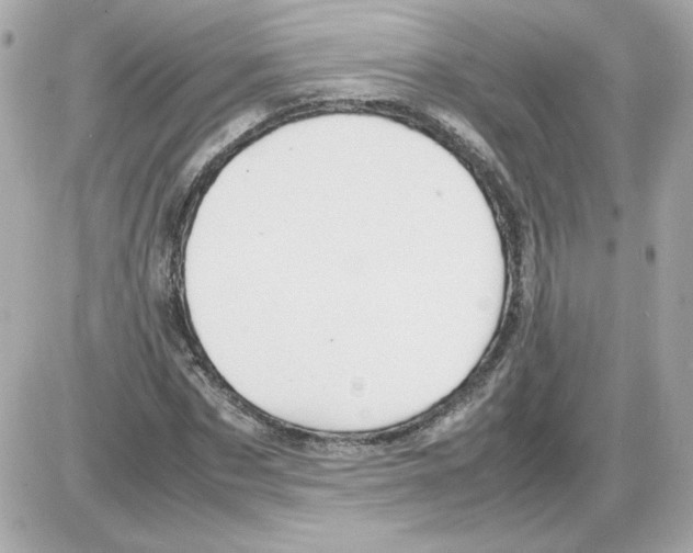 X0000085290873200704092229