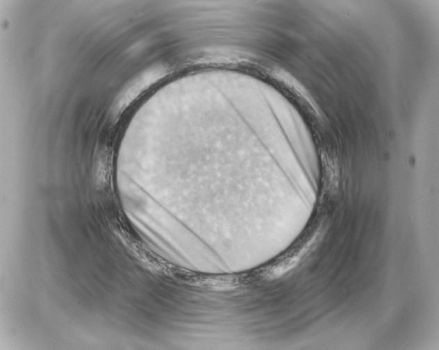 X0000085290874200704092229