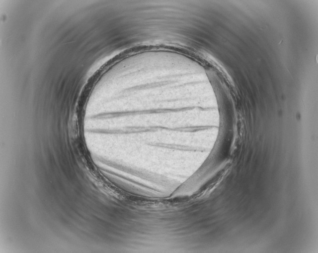 X0000085290876200704092229