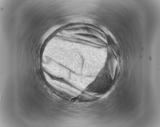 X0000085290877200704092229