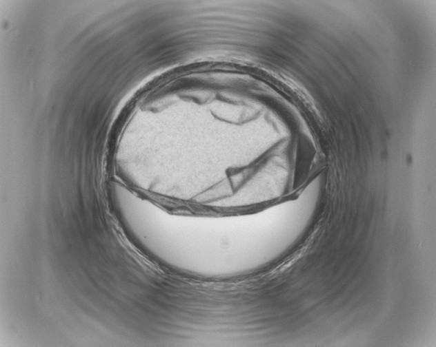 X0000085290880200704092229
