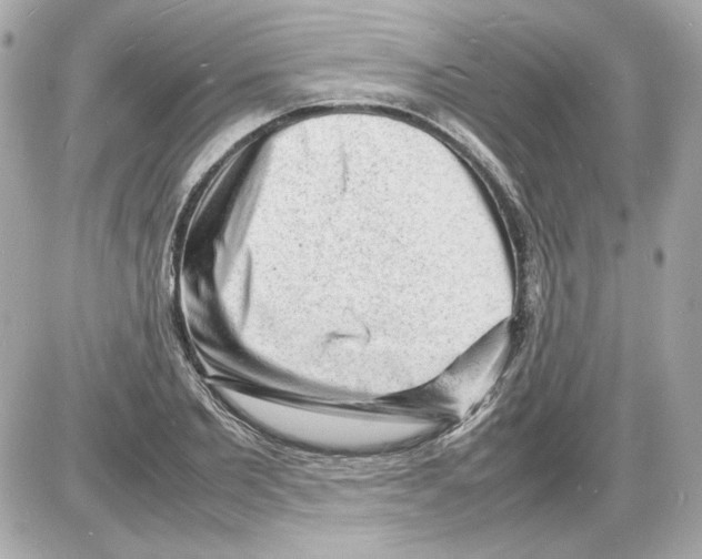 X0000085290885200704092229