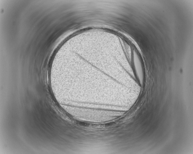 X0000085290887200704092229