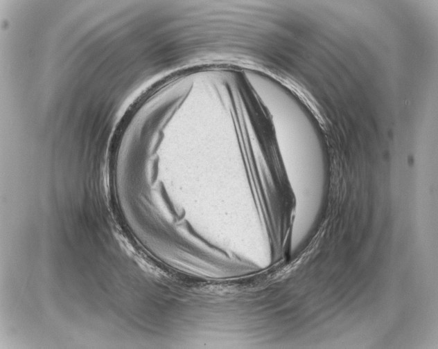 X0000085290888200704092229