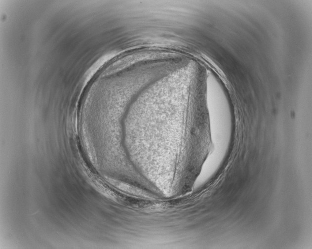 X0000085290891200704092229