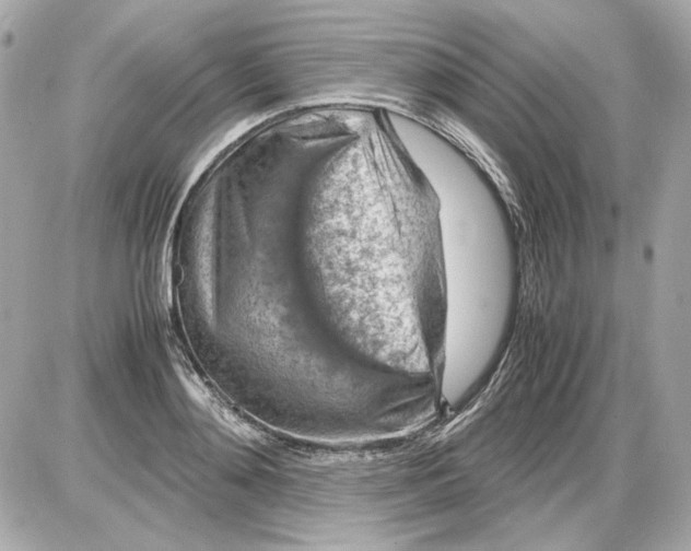 X0000085290892200704092229