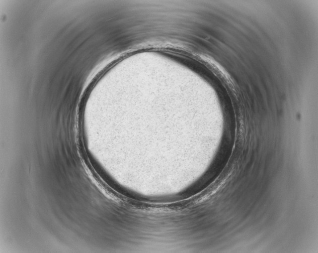 X0000085290894200704092229