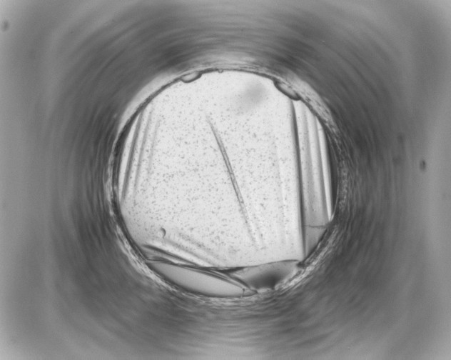 X0000085290904200704092229