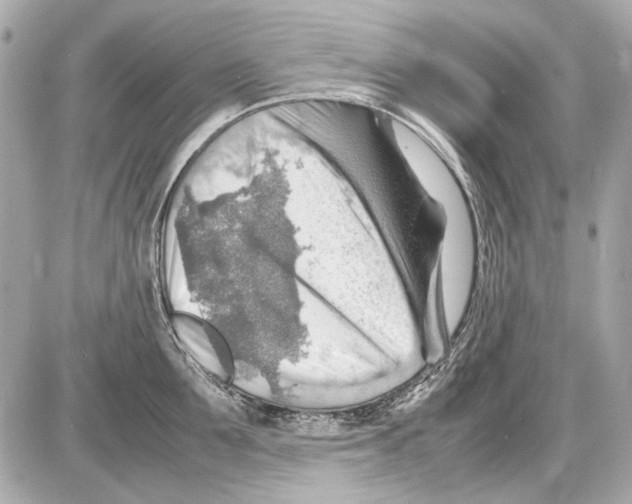 X0000085290907200704092229