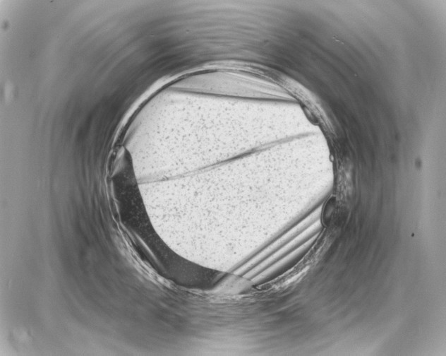 X0000085290908200704092229