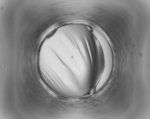 X0000085290909200704092229