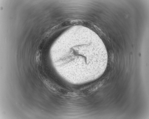 X0000085290914200704092228