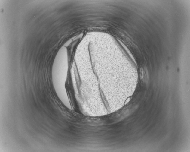 X0000085290915200704092228