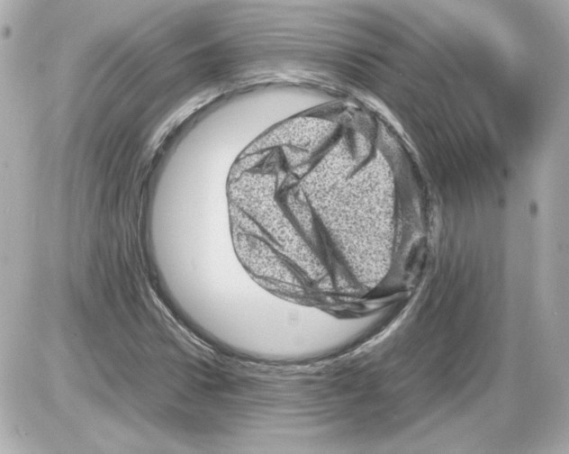 X0000085290922200704092228