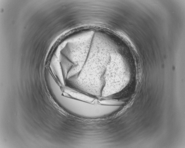 X0000085290924200704092228