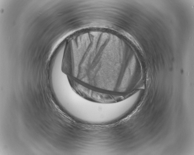 X0000085290926200704092228