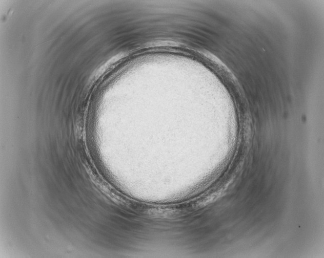 X0000085290929200704092228